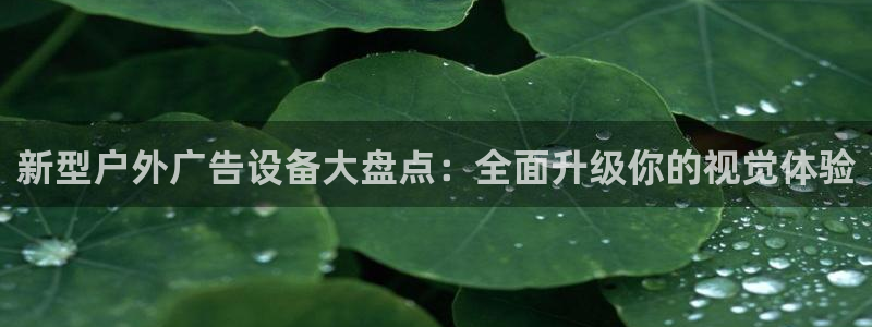 杏宇平台代理怎么样