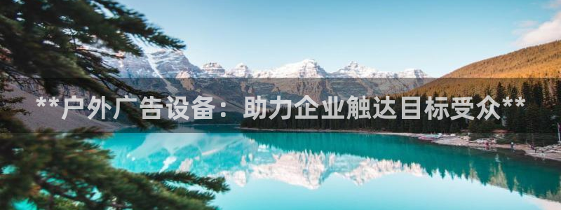 杏宇平台是什么