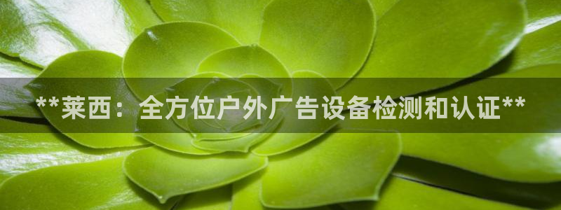 杏宇平台代理