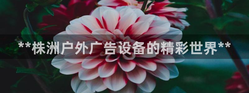 杏宇平台登录步骤