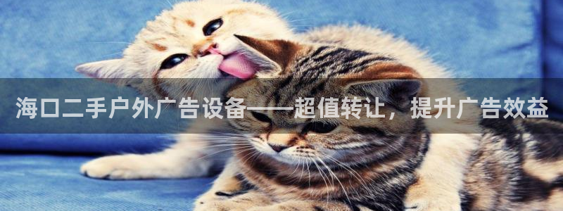 杏宇官方平台官网