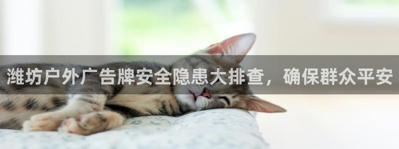 杏宇平台登录步骤图