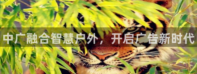 杏宇平台登录步骤