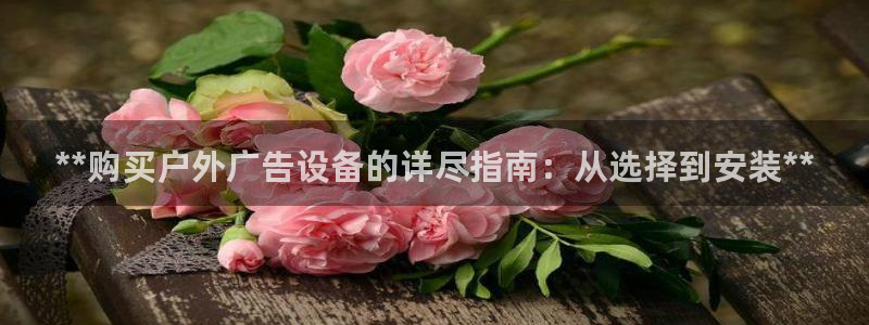 杏宇平台怎么样：**购买户外广告设备的详尽指南：从选择到安装**