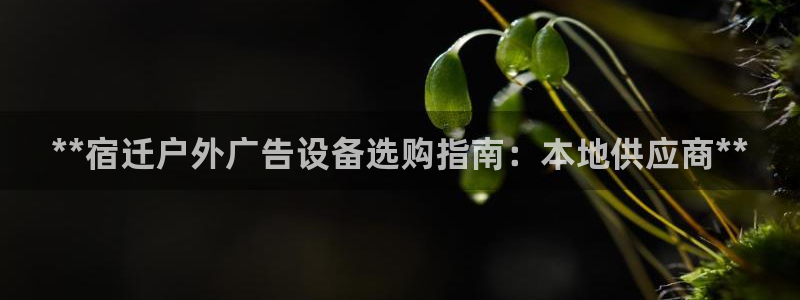 杏宇平台开户：**宿迁户外广告设备选购指南：本地供应商**
