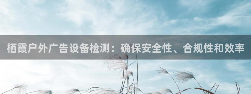 杏宇官方平台官网：栖霞户外广告设备检测：确保安全性、合规性和效率