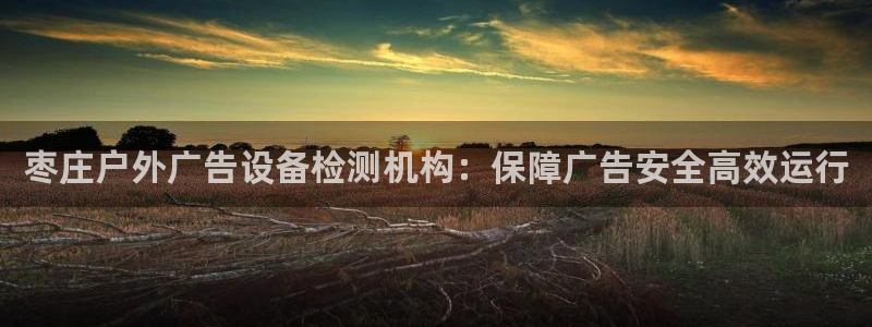 杏宇平台代理怎么赚钱：枣庄户外广告设备检测机构：保障广告安全高效运行