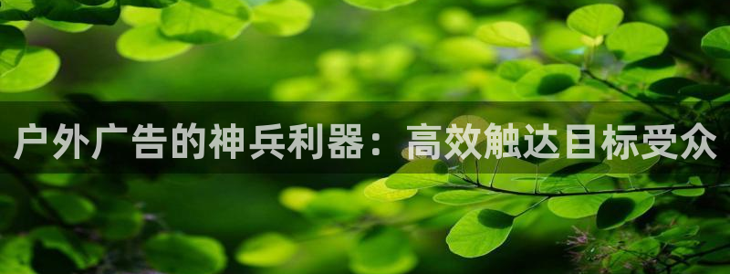 杏宇平台开户