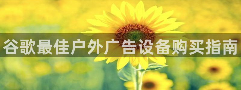杏宇平台代理多少钱：谷歌最佳户外广告设备购买指南
