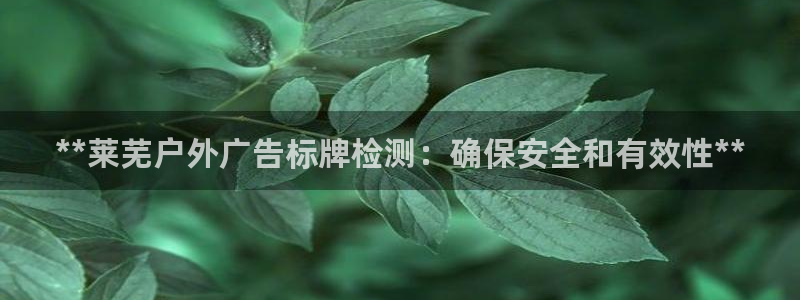 杏宇代理注册：**莱芜户外广告标牌检测：确保安全和有效性**
