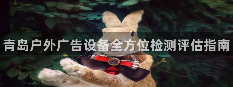 杏宇代理注册