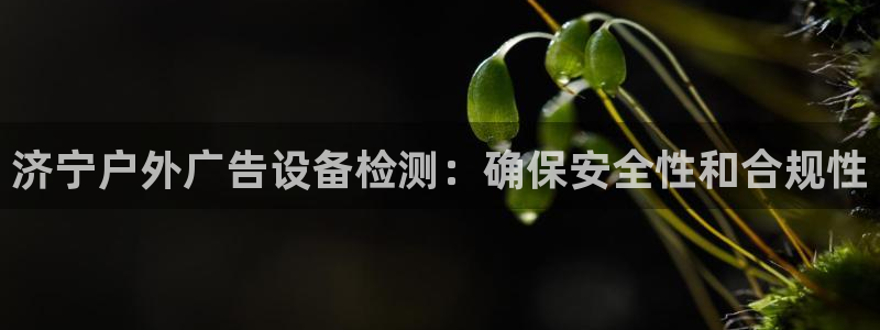 杏宇平台总代理电话：济宁户外广告设备检测：确保安全性和合规性