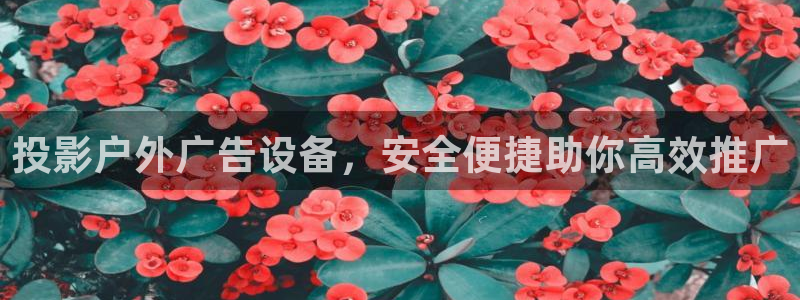 杏宇官方平台官网下载