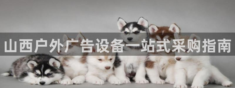 杏宇平台注册登录