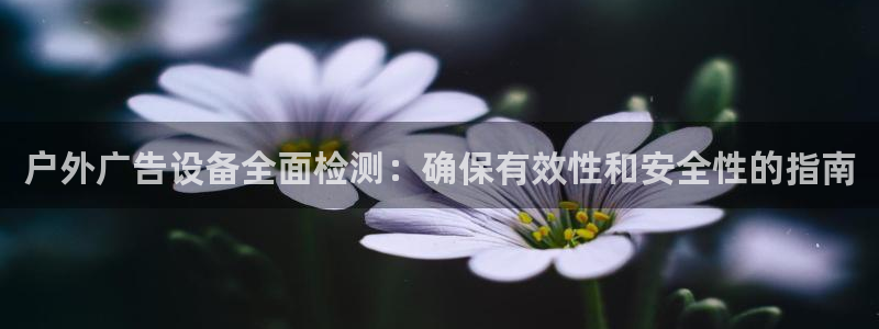 杏宇代理注册