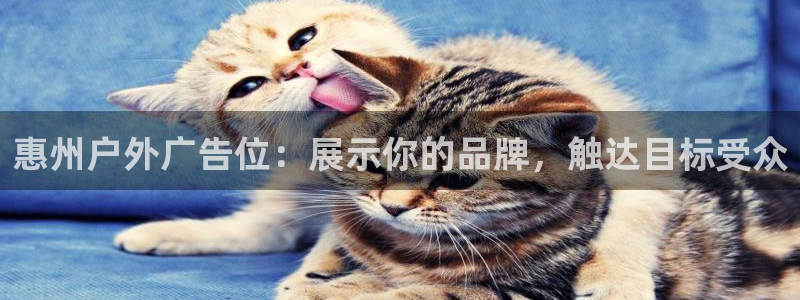 杏宇平台开户
