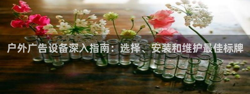 杏宇平台注册地址在哪里