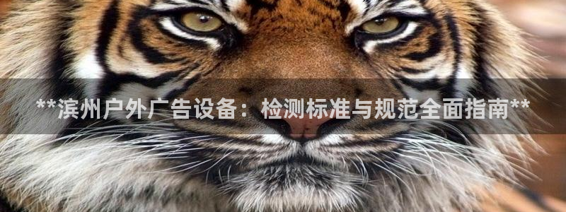 杏宇平台开户
