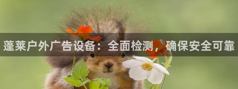 杏宇平台登录方法