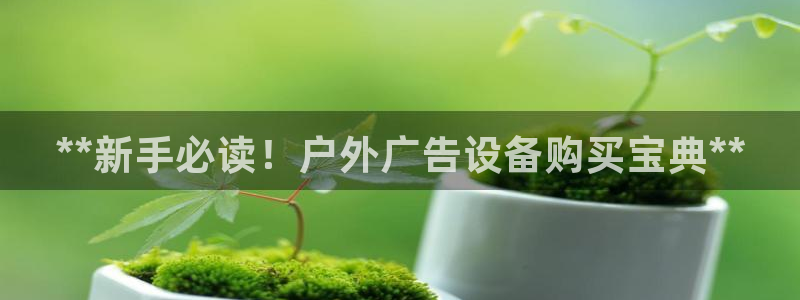 杏宇平台代理怎么样啊