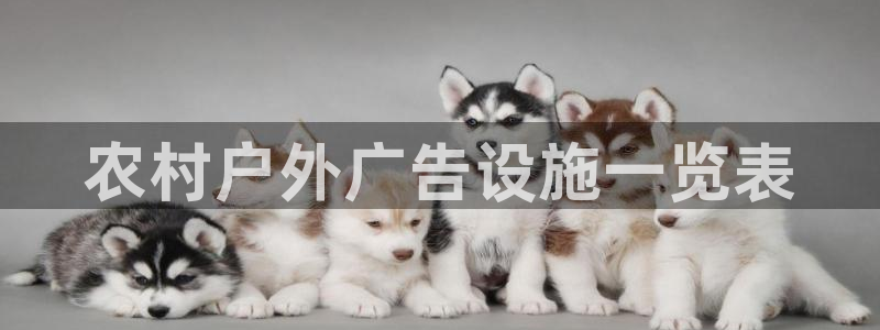 杏宇平台招商怎么样