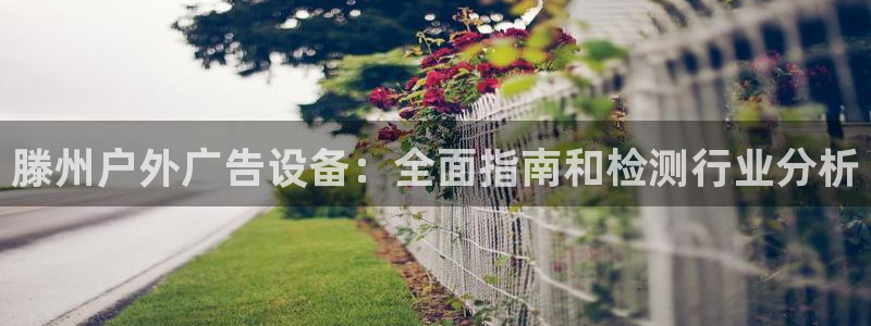 杏宇平台代理