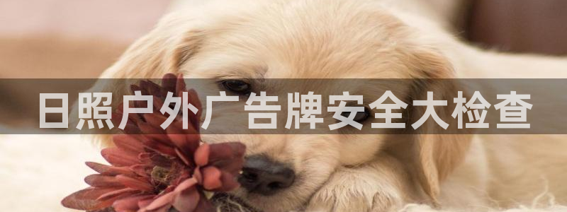 杏宇平台主管