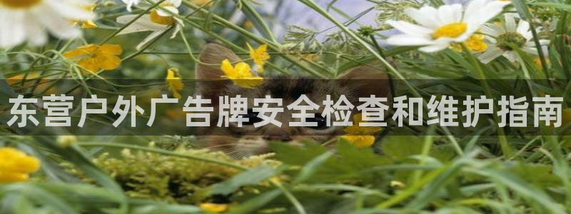 杏宇平台代理怎么赚钱快