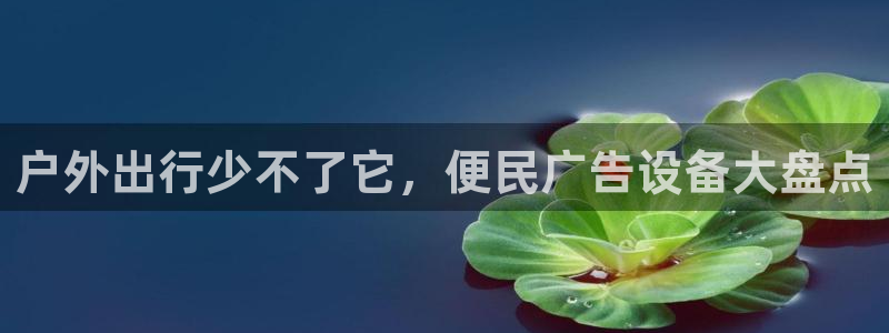 杏宇平台代理怎么样赚钱