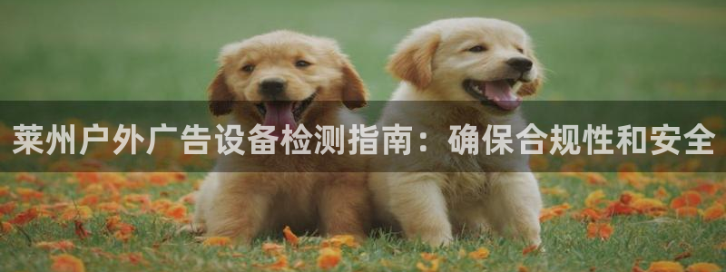 杏宇平台注册登录