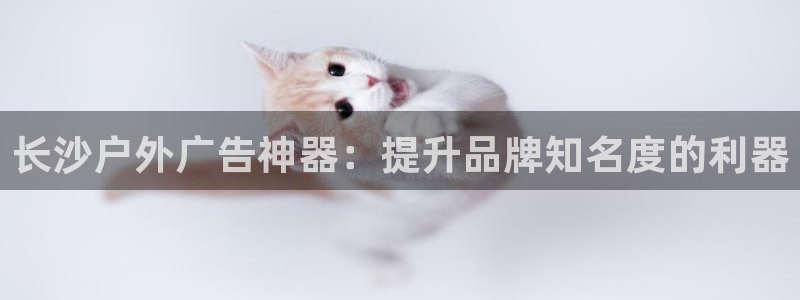 杏宇平台代理多少钱一次