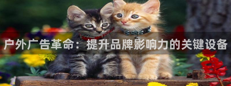 杏宇平台代理怎么样