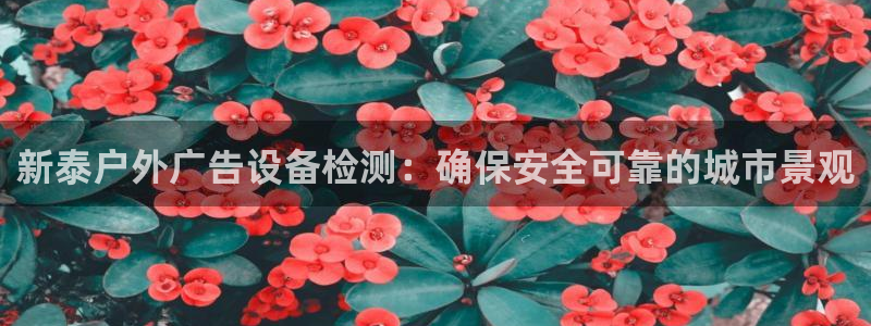 杏宇平台代理怎么赚钱的
