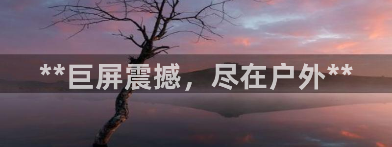 杏宇平台主管