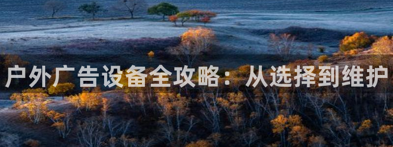 杏宇平台代理怎么赚钱的