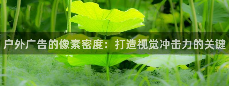 杏宇平台代理多少钱