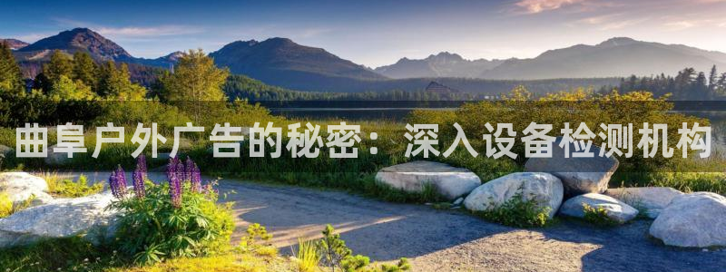杏宇平台测速链接