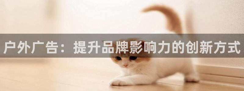 杏宇平台代理多少钱一个