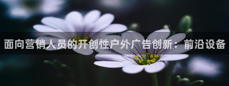 杏宇平台总代理