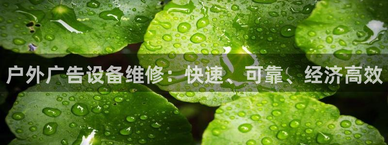 杏宇代理注册