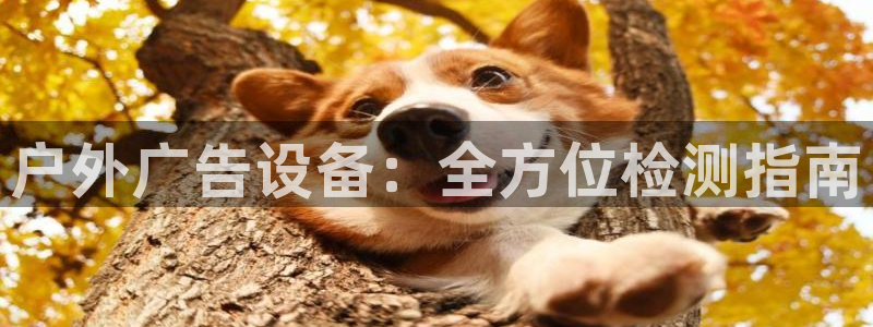 杏宇平台是什么