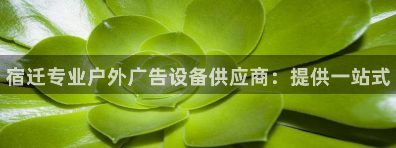 杏宇平台登录步骤是什么：宿迁专业户外广告设备供应商：提供一站式