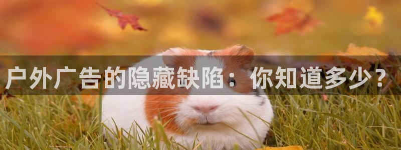 杏宇平台登陆