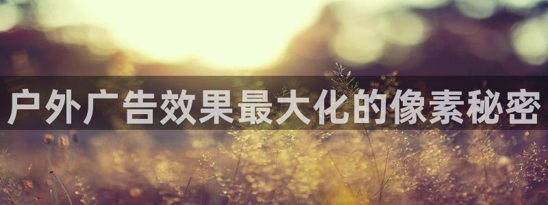 杏宇平台总代理