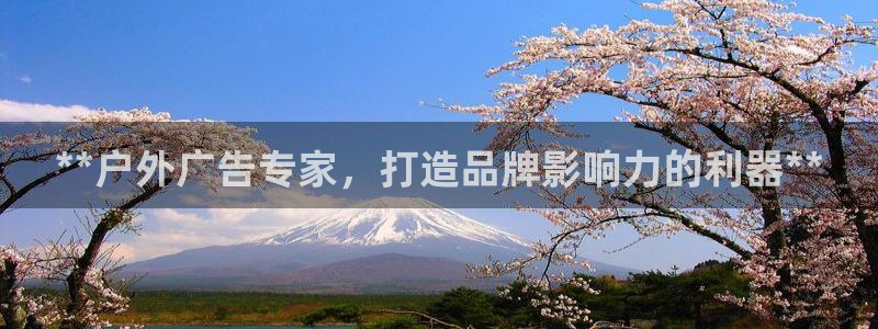 杏宇官方平台官网入口：**户外广告专家，打造品牌影响力的利器**