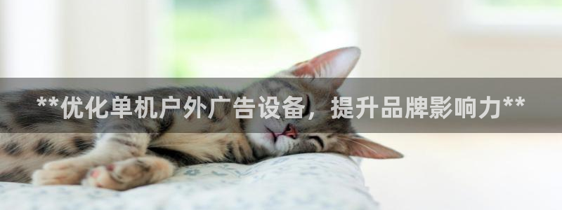 杏宇平台好吗