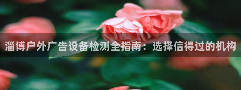 杏宇官方平台官网下载