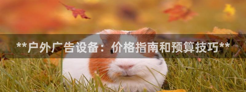 杏宇平台代理：**户外广告设备：价格指南和预算技巧**