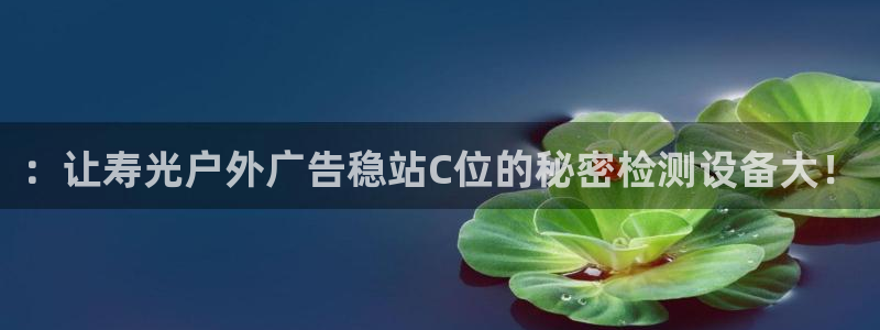 杏宇平台代理多少钱