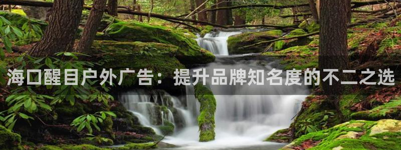 杏宇平台主管